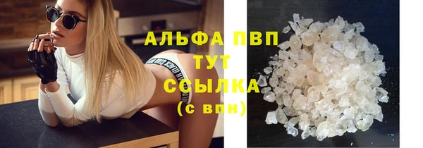 амф Майский