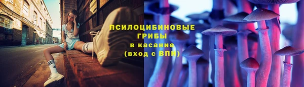 ПСИЛОЦИБИНОВЫЕ ГРИБЫ Магас