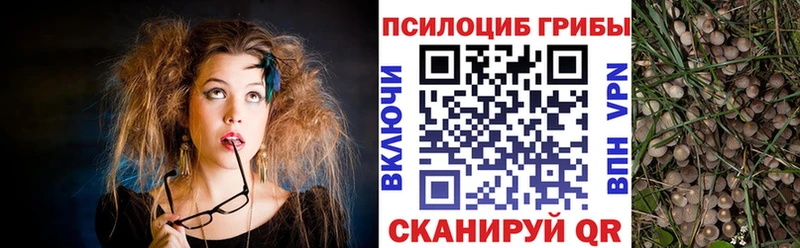 kraken   цены наркотик  Нариманов  Галлюциногенные грибы Cubensis 